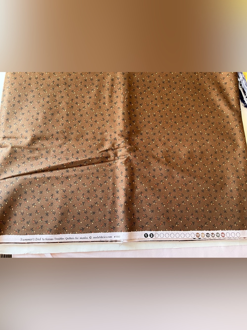 Quilting Moda Fabrics #9303 Summers End By Troubles Quilter 4 1/4 Yds Cotton